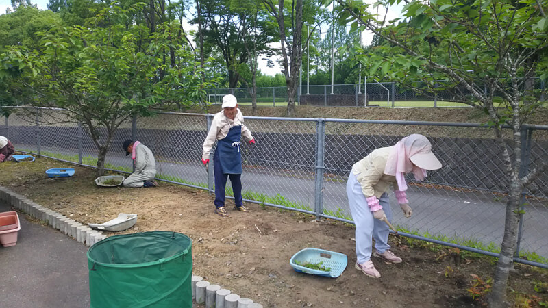 除草作業